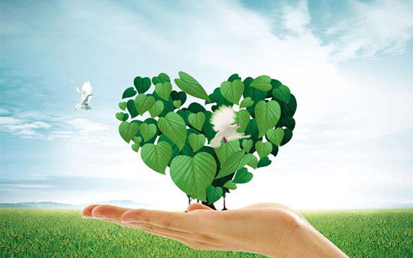 啤酒糟滾筒烘干機(jī)廠家哪家好